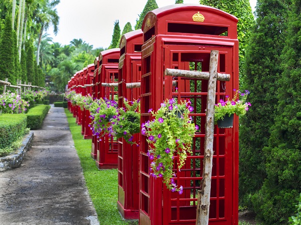 เที่ยวสวนดอกไม้ในเมืองไทย เที่ยวสวนดอกไม้ในเมืองไทย