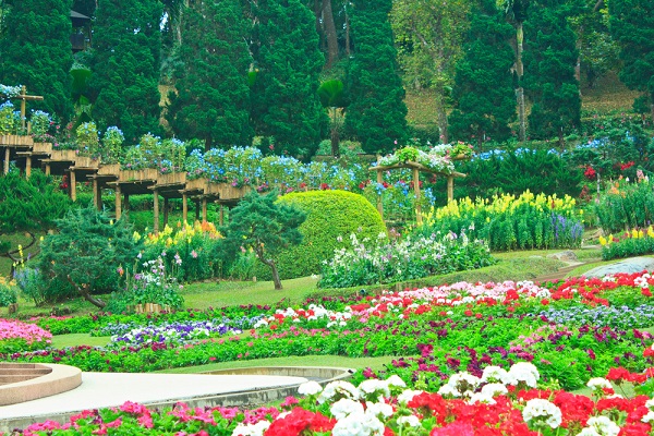 เที่ยวสวนดอกไม้ในเมืองไทย เที่ยวสวนดอกไม้ในเมืองไทย