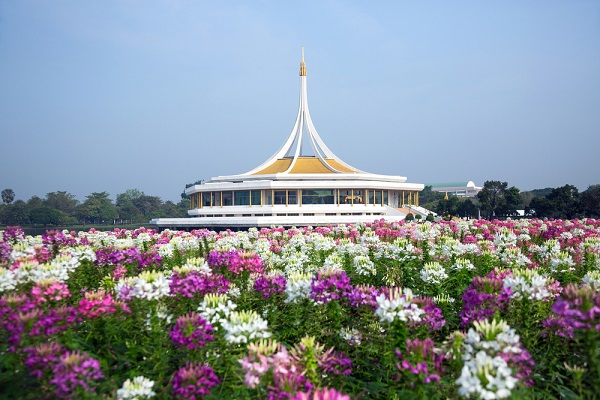 เที่ยวสวนดอกไม้ในเมืองไทย เที่ยวสวนดอกไม้ในเมืองไทย