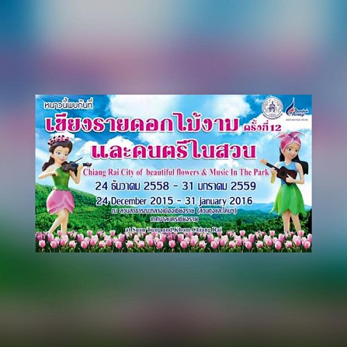 เทศกาลชมดอกไม้ต้อนรับฤดูหนาว เทศกาลชมดอกไม้ต้อนรับฤดูหนาว