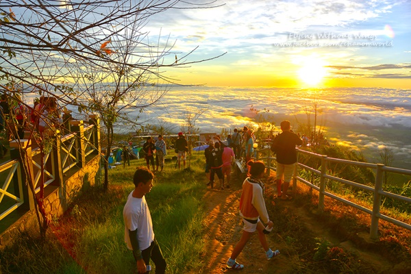 สวรรค์บนดินที่ภูทับเบิก สวรรค์บนดินที่ภูทับเบิก