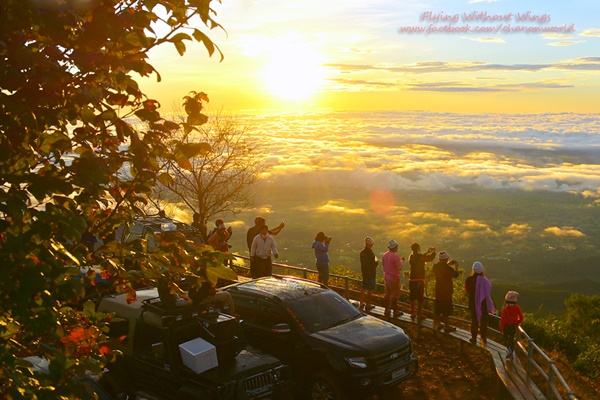 สวรรค์บนดินที่ภูทับเบิก สวรรค์บนดินที่ภูทับเบิก