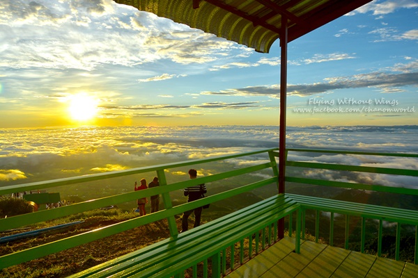 สวรรค์บนดินที่ภูทับเบิก สวรรค์บนดินที่ภูทับเบิก