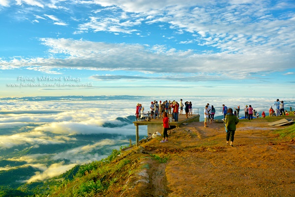 สวรรค์บนดินที่ภูทับเบิก สวรรค์บนดินที่ภูทับเบิก