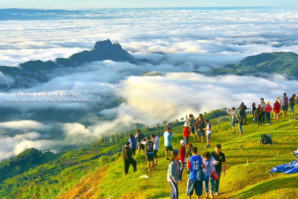 สวรรค์บนดินที่ภูทับเบิก สวรรค์บนดินที่ภูทับเบิก