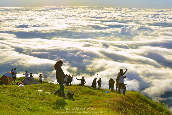 สวรรค์บนดินที่ภูทับเบิก สวรรค์บนดินที่ภูทับเบิก