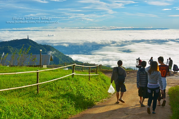 สวรรค์บนดินที่ภูทับเบิก สวรรค์บนดินที่ภูทับเบิก