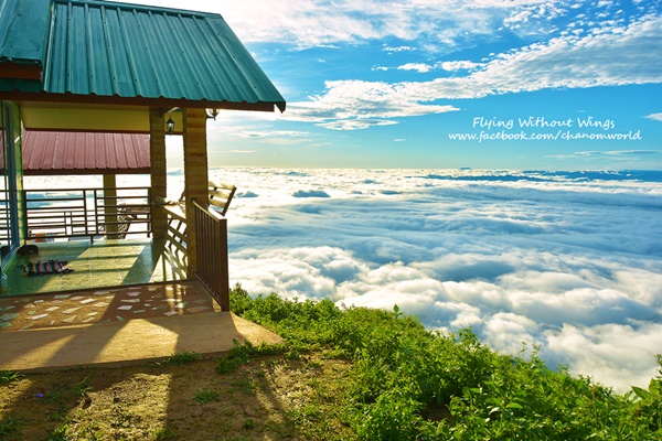 สวรรค์บนดินที่ภูทับเบิก สวรรค์บนดินที่ภูทับเบิก