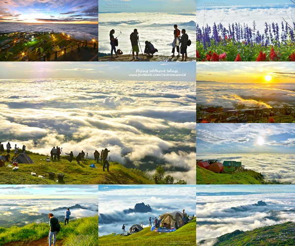 สวรรค์บนดินที่ภูทับเบิก สวรรค์บนดินที่ภูทับเบิก