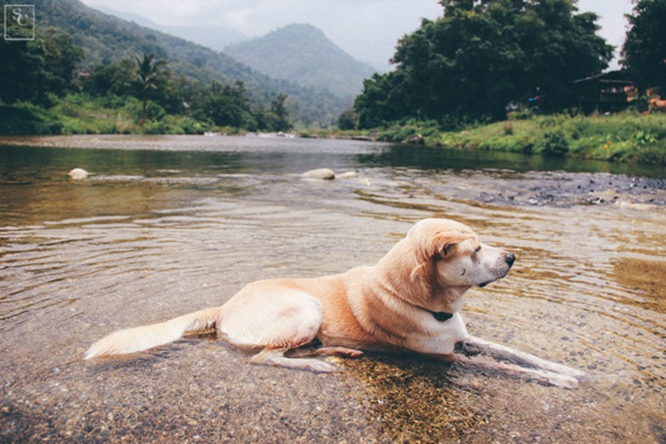 คีรีวง คีรีวง