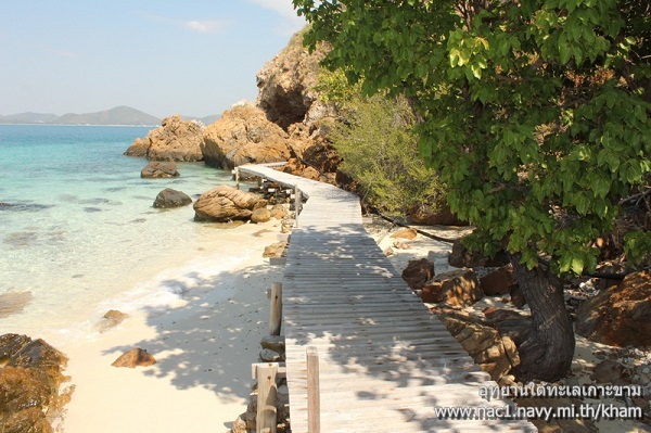 ขาม เกาะขาม