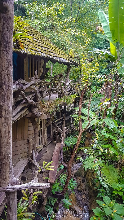 บ้านแม่กำปอง บ้านแม่กำปอง
