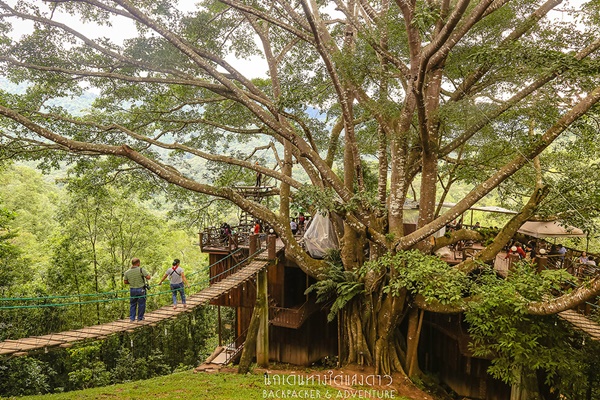 บ้านแม่กำปอง บ้านแม่กำปอง