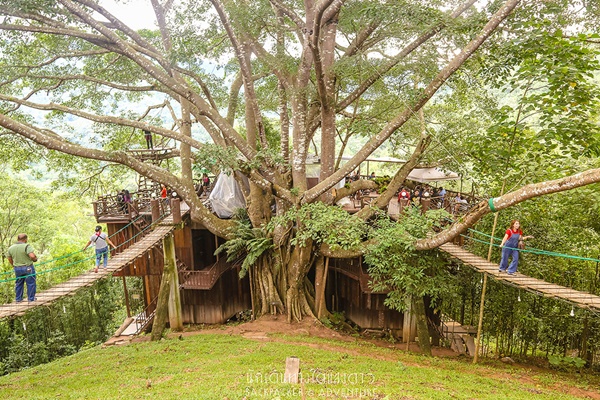 บ้านแม่กำปอง บ้านแม่กำปอง