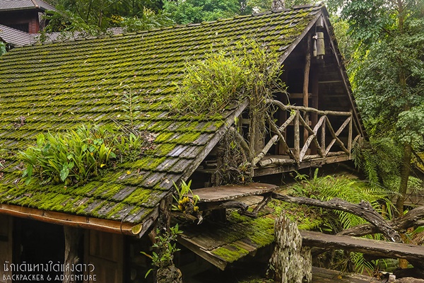 บ้านแม่กำปอง บ้านแม่กำปอง