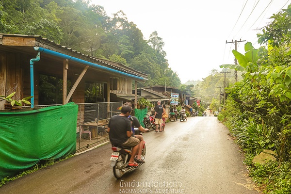 บ้านแม่กำปอง บ้านแม่กำปอง