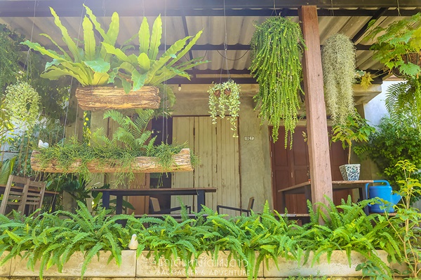 บ้านแม่กำปอง บ้านแม่กำปอง
