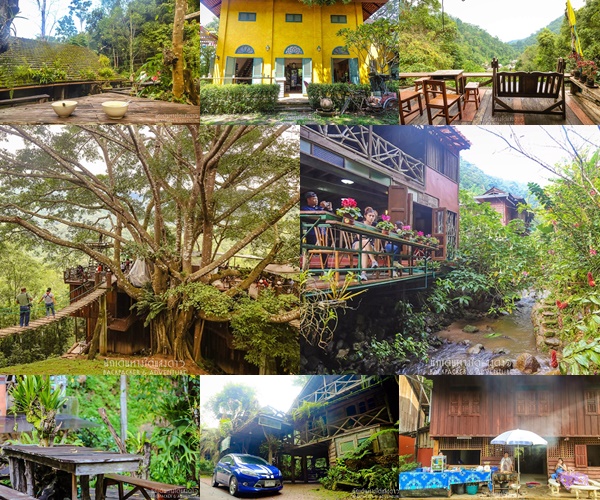 บ้านแม่กำปอง บ้านแม่กำปอง