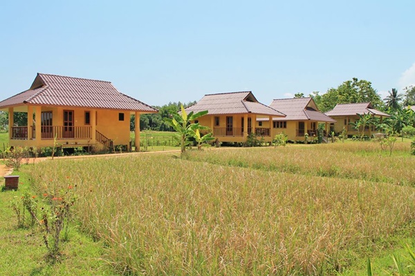 ที่พักแม่ริม เชียงใหม่ ที่พักแม่ริม เชียงใหม่