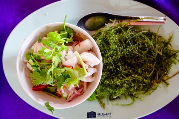 ทริปตัวแตก กินแหลก ณ เกาะไม้ท่อน ทริปตัวแตก กินแหลก ณ เกาะไม้ท่อน