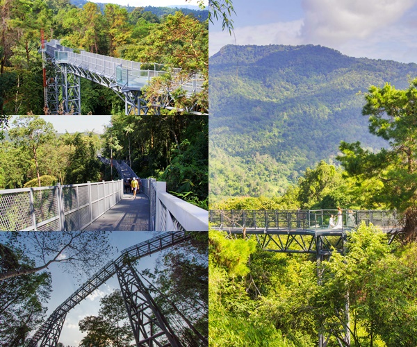 Canopy Walkway Canopy Walkway