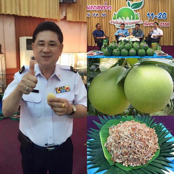 งานวันส้มโอขาวแตงกวา จ.ชัยนาท งานวันส้มโอขาวแตงกวา จ.ชัยนาท