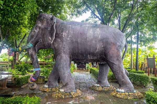 เที่ยวตามรอย...เขาเล่าว่า ผ่าน 24 สถานที่ท่องเที่ยวทั่วไทย เที่ยวตามรอย...เขาเล่าว่า ผ่าน 24 สถานที่ท่องเที่ยวทั่วไทย
