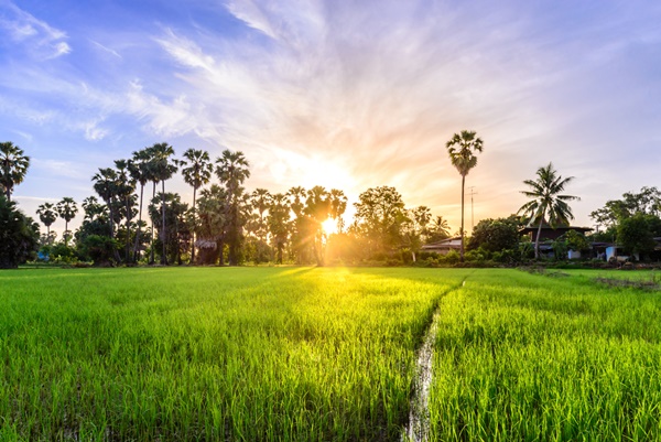 เที่ยวเพชรบุรีแบบไปเช้า-เย็นกลับ เรื่อย ๆ ไม่รีบร้อน เที่ยวเพชรบุรีแบบไปเช้า-เย็นกลับ เรื่อย ๆ ไม่รีบร้อน