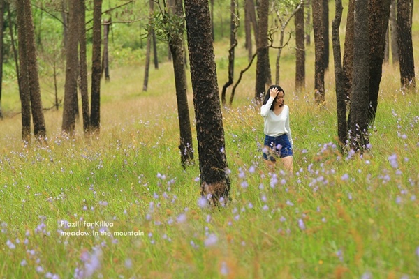 ภูสอยดาว ภูสอยดาว