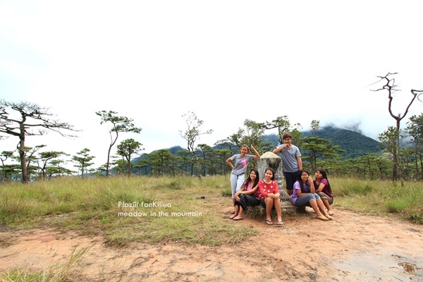 ภูสอยดาว ภูสอยดาว