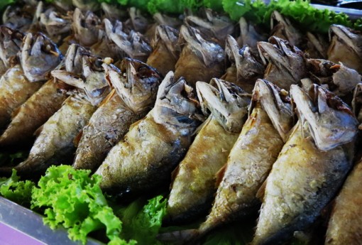 เทศกาลกินปลาทู เทศกาลกินปลาทู