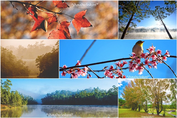 ชัมบาลาเมืองไทยของฉันอยู่ที่ บ้านวัดจันทร์ อ.กัลยาณิวัฒนา ชัมบาลาเมืองไทยของฉันอยู่ที่ บ้านวัดจันทร์ อ.กัลยาณิวัฒนา