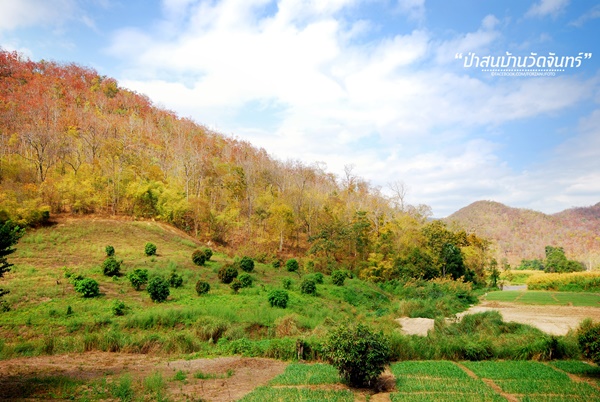 ชัมบาลาเมืองไทยของฉันอยู่ที่ บ้านวัดจันทร์ อ.กัลยาณิวัฒนา ชัมบาลาเมืองไทยของฉันอยู่ที่ บ้านวัดจันทร์ อ.กัลยาณิวัฒนา