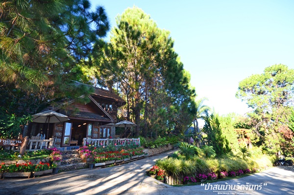 ชัมบาลาเมืองไทยของฉันอยู่ที่ บ้านวัดจันทร์ อ.กัลยาณิวัฒนา ชัมบาลาเมืองไทยของฉันอยู่ที่ บ้านวัดจันทร์ อ.กัลยาณิวัฒนา