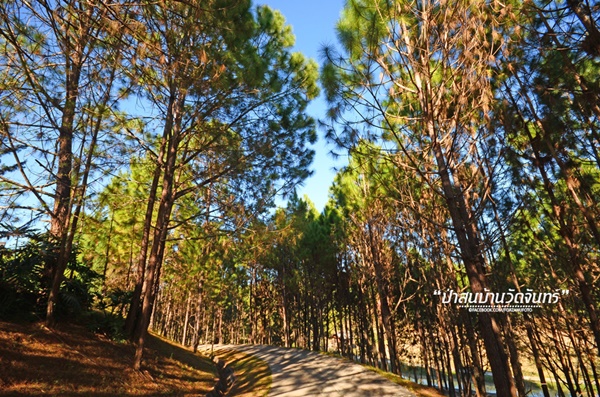 ชัมบาลาเมืองไทยของฉันอยู่ที่ บ้านวัดจันทร์ อ.กัลยาณิวัฒนา ชัมบาลาเมืองไทยของฉันอยู่ที่ บ้านวัดจันทร์ อ.กัลยาณิวัฒนาชัมบาลาเมืองไทยของฉันอยู่ที่ บ้านวัดจันทร์ อ.กัลยาณิวัฒนา