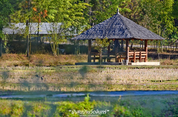 ชัมบาลาเมืองไทยของฉันอยู่ที่ บ้านวัดจันทร์ อ.กัลยาณิวัฒนา ชัมบาลาเมืองไทยของฉันอยู่ที่ บ้านวัดจันทร์ อ.กัลยาณิวัฒนาชัมบาลาเมืองไทยของฉันอยู่ที่ บ้านวัดจันทร์ อ.กัลยาณิวัฒนา