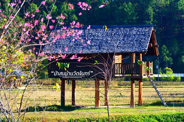 ชัมบาลาเมืองไทยของฉันอยู่ที่ บ้านวัดจันทร์ อ.กัลยาณิวัฒนา ชัมบาลาเมืองไทยของฉันอยู่ที่ บ้านวัดจันทร์ อ.กัลยาณิวัฒนา