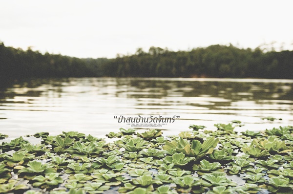 ชัมบาลาเมืองไทยของฉันอยู่ที่ บ้านวัดจันทร์ อ.กัลยาณิวัฒนา ชัมบาลาเมืองไทยของฉันอยู่ที่ บ้านวัดจันทร์ อ.กัลยาณิวัฒนาชัมบาลาเมืองไทยของฉันอยู่ที่ บ้านวัดจันทร์ อ.กัลยาณิวัฒนา