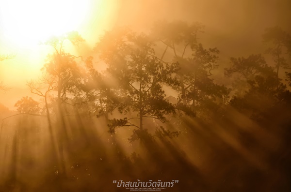 ชัมบาลาเมืองไทยของฉันอยู่ที่ บ้านวัดจันทร์ อ.กัลยาณิวัฒนา ชัมบาลาเมืองไทยของฉันอยู่ที่ บ้านวัดจันทร์ อ.กัลยาณิวัฒนา