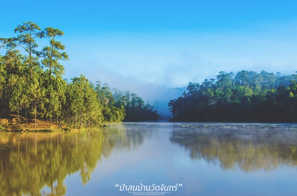 ชัมบาลาเมืองไทยของฉันอยู่ที่ บ้านวัดจันทร์ อ.กัลยาณิวัฒนา ชัมบาลาเมืองไทยของฉันอยู่ที่ บ้านวัดจันทร์ อ.กัลยาณิวัฒนา