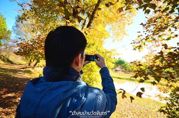 ชัมบาลาเมืองไทยของฉันอยู่ที่ บ้านวัดจันทร์ อ.กัลยาณิวัฒนา ชัมบาลาเมืองไทยของฉันอยู่ที่ บ้านวัดจันทร์ อ.กัลยาณิวัฒนา