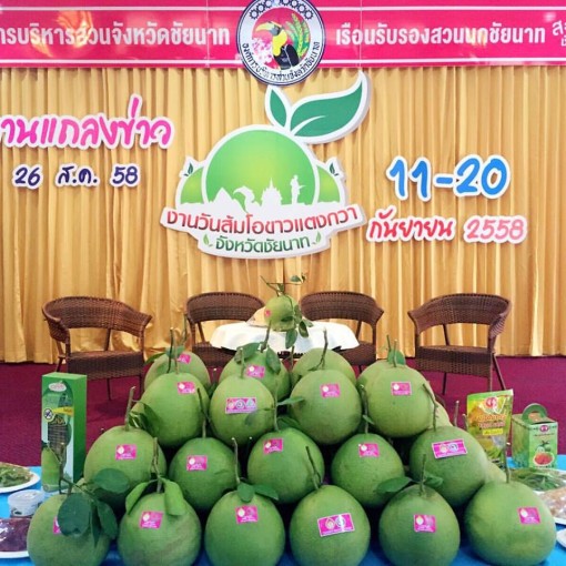 งานวันส้มโอขาวแตงกวา จ.ชัยนาท งานวันส้มโอขาวแตงกวา จ.ชัยนาท