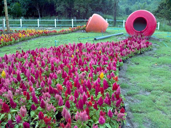 ที่พักสวนผึ้งราคาถูก สวนผ