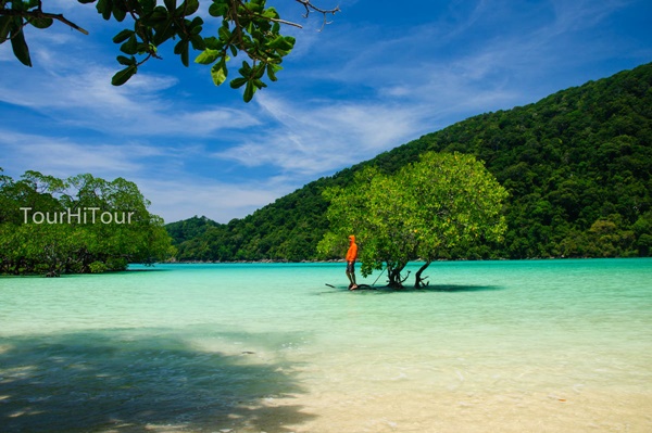 เที่ยวหมู่เกาะสุรินทร์ เที่ยวหมู่เกาะสุรินทร์