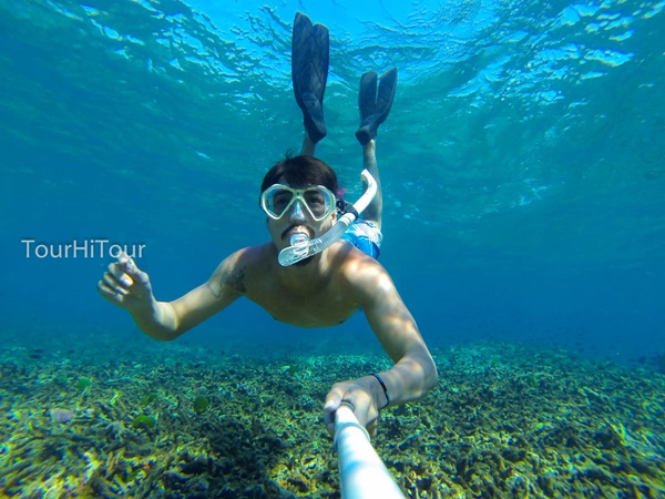 เที่ยวหมู่เกาะสุรินทร์ เที่ยวหมู่เกาะสุรินทร์