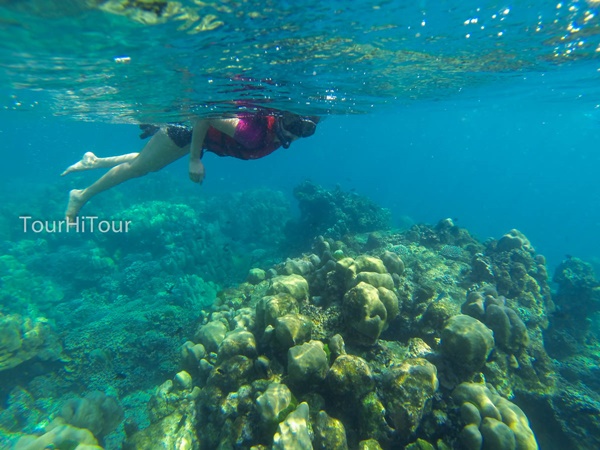 เที่ยวหมู่เกาะสุรินทร์ เที่ยวหมู่เกาะสุรินทร์