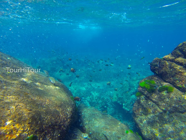 เที่ยวหมู่เกาะสุรินทร์ เที่ยวหมู่เกาะสุรินทร์