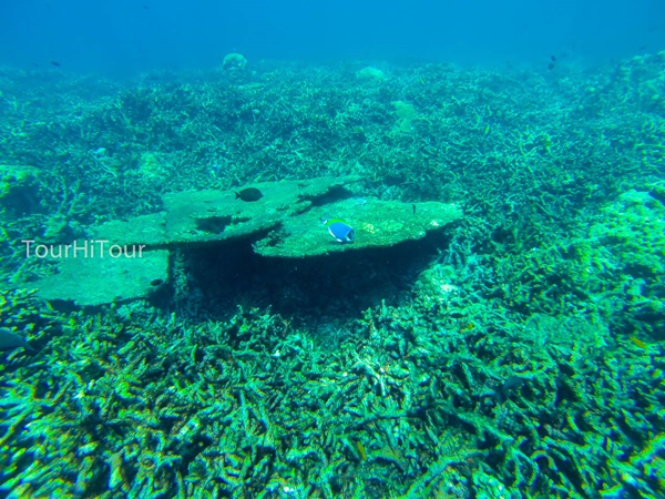 เที่ยวหมู่เกาะสุรินทร์ เที่ยวหมู่เกาะสุรินทร์