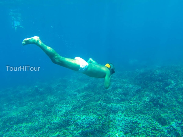 เที่ยวหมู่เกาะสุรินทร์ เที่ยวหมู่เกาะสุรินทร์