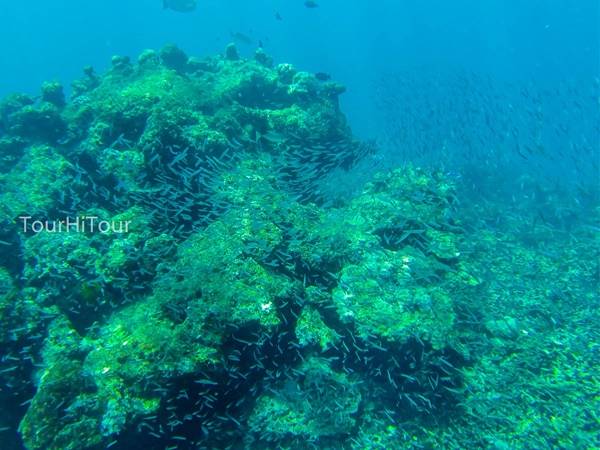 เที่ยวหมู่เกาะสุรินทร์ เที่ยวหมู่เกาะสุรินทร์